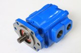 Roller Bearing P31 Pump