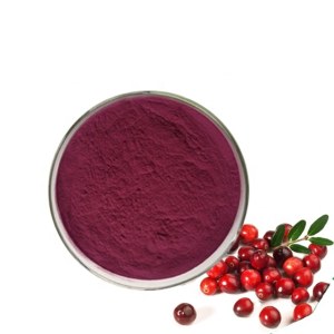 Cranberry Extract Powder 5%, 10%, 25% Proanthocyanidins & Anthocyanins