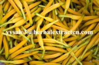 Hemerocall Extract natural ingredients 10:1 Chinese manufacturer , natural Antioxidant...