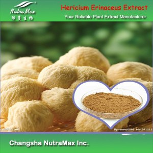 Hericium Erinaceus Powder (sales07@nutra-max.com)