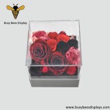 Best Acrylic Display Manufacturer Company in China - Busy Bees