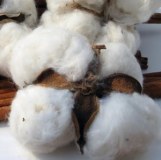 Grade A 100% Organic Natural Raw Cotton Bale For Sale
