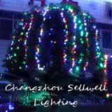 Changzhou Sellwell Lighting Factory Sell Holiday/Decoration Bulbs