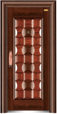 2013 luxury steel door for sale