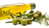 Sale of olive oil Tunisian