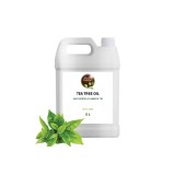 Pure tea tree oil of 5L - Exclusive offer for professionals!