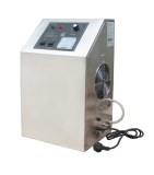 Ozone generator for swimming pool