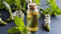 The magic of peppermint essential oil