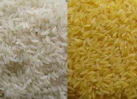 Sale of Rice