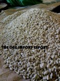 Supplier about dried grains