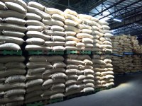 Robusta green coffee beans made in Ivory Coast for sale