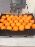 Orange origin Morocco.