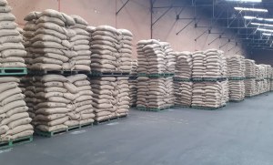 Robusta green coffre for sale