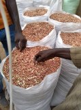 Senegal : raw material