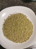 Small Green Lentils Canada No. 1 (Eston)