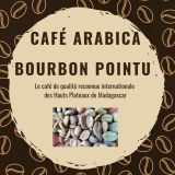 Specialty Coffee Arabica bourbon pointu