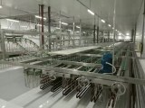 Full Chicken Slaughter Machine Line