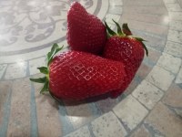 JIJEL strawberry