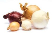 Wholesale onion