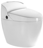 Intelligent Toilet (JN30608)