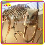 KANO2006 Handmade Lfe Size Skeleton Exhibition Dinosaur