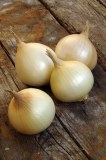 Production and sell EXPORTATION AND IMPORTATION of onions