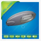 Induction Streetlight 40W/60W/80W/100W