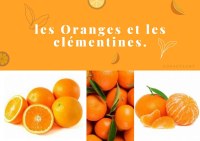 Orange and clementines