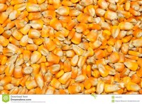 Sale of corn, soybean, plantain, pepper