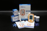 Blood glucose meter