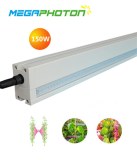Megaphoton 150w 8ft LED Interlighting grow light for greenhouse lighting projects