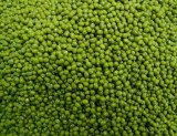 Green Mung Bean (Prime quality dried)