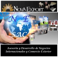 Advice and Integral Development of Foreign Trade: Exports & Imports