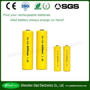 Ni-Cd rechargeable battery