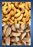 Cashew, brazilian nuts