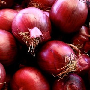 Red onion