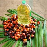 Refined Palm oil and Crude Palm oil for sale