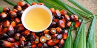 Refined Palm Oil.