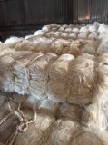 100% Natural Sisal Fiber For Sale (whatsApp # +255745590659)