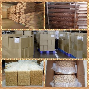 Raw and shelled cashews for wholesale
