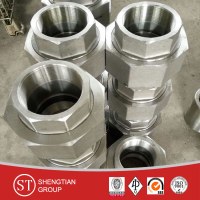 Stainless Steel Forged Pipe Fittings Weld Outlet