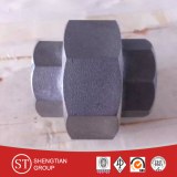 Customized Forged Steel Socket Pipe Fittings