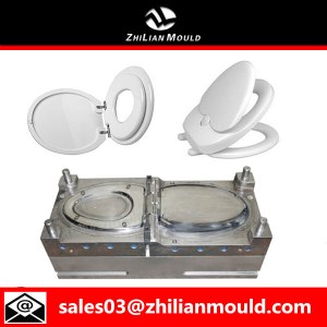 High qualtiy plastic injection toilet seat cover mould