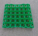 Offer of place setting for fruits and eggs