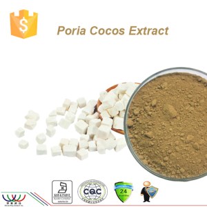 Pure natural balancing blood sugar poria cocos extract