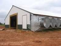 Many Agricultural Steel Building Types for sale in China