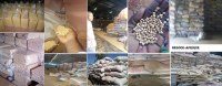 Agricultural and mining products