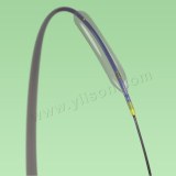 Advan™ PTCA Balloon Dilatation Catheter