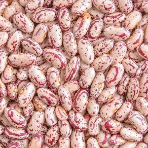 Quality Grade 'A' Red Speckled Sugar Beans For Sale (WhatsApp +255657974759)