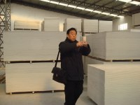 Fireproof gypsum bonded wood particle board